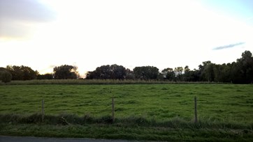 WP_20151006_18_54_27_Pro