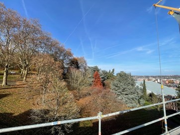 164162c6df0677d8da50f50efeb826bf