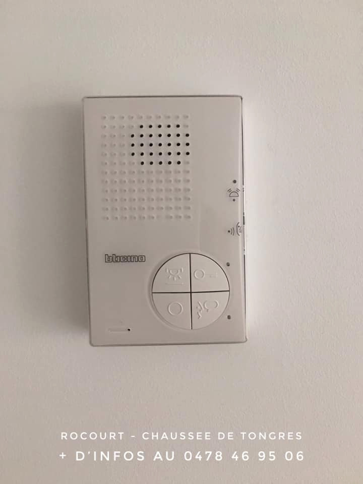 53608556_1005658112951174_3519766088944451584_n