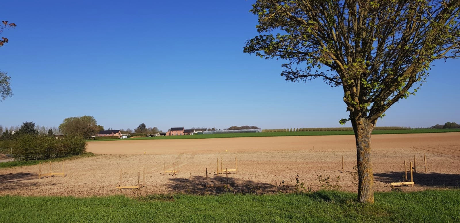 57450999_584513912046803_2655886000638656512_n