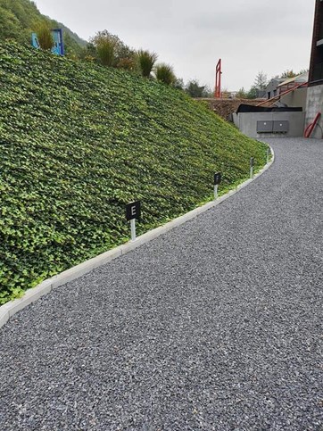 FB_IMG_1607620675722