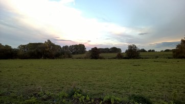 WP_20151006_18_54_12_Pro