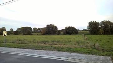 WP_20151006_18_52_22_Pro