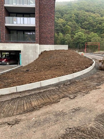 FB_IMG_1607620678058