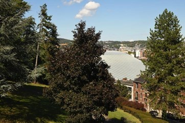 d151adc39b814c504f0c14a391854348