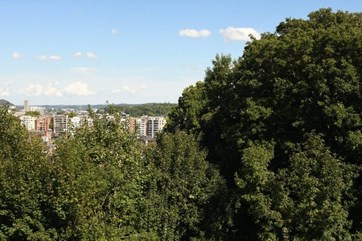 fe7719113b843fe85d8db992297ec787